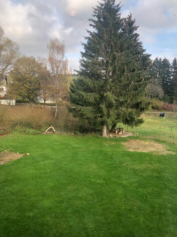 Haus Schneider Kaetchen Villa Deudesfeld Luaran gambar